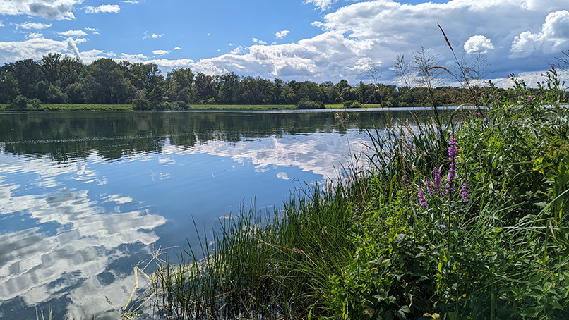 Ökopunkten clever nutzen – wir beraten Sie!