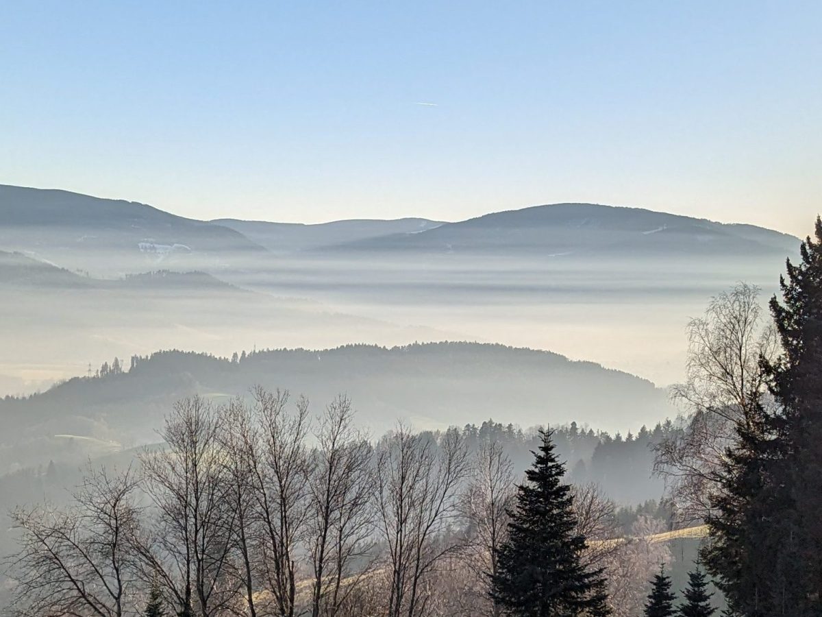 Ökokonto – Management und Handel mit&nbsp;Ökopunkten